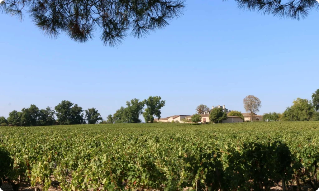 Domaine De Merlet