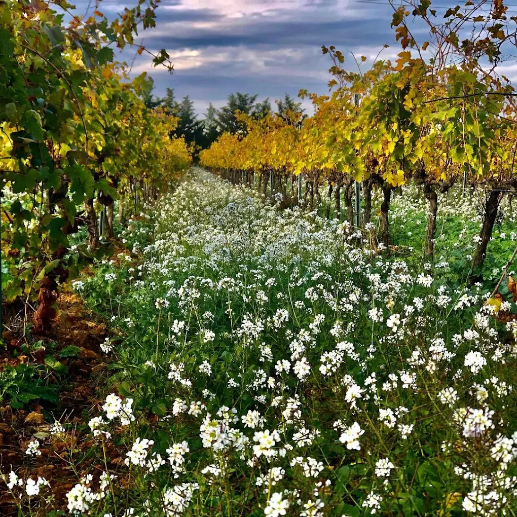 Domaine de Sulauze