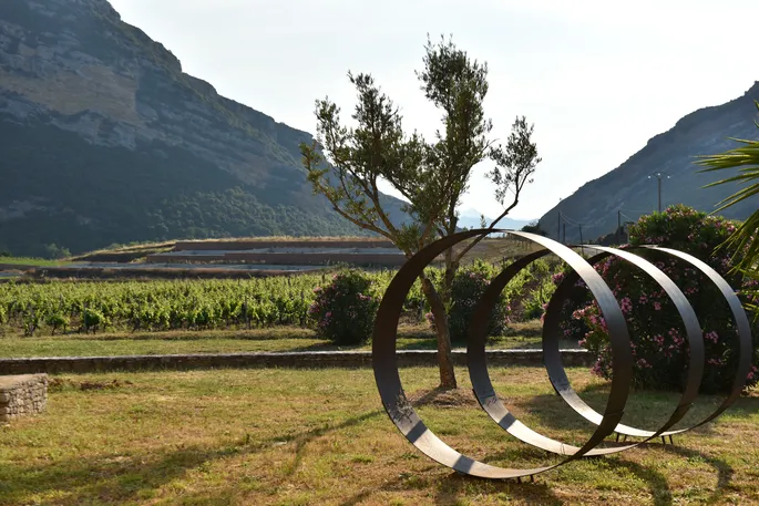 Domaine Orenga de Gaffory