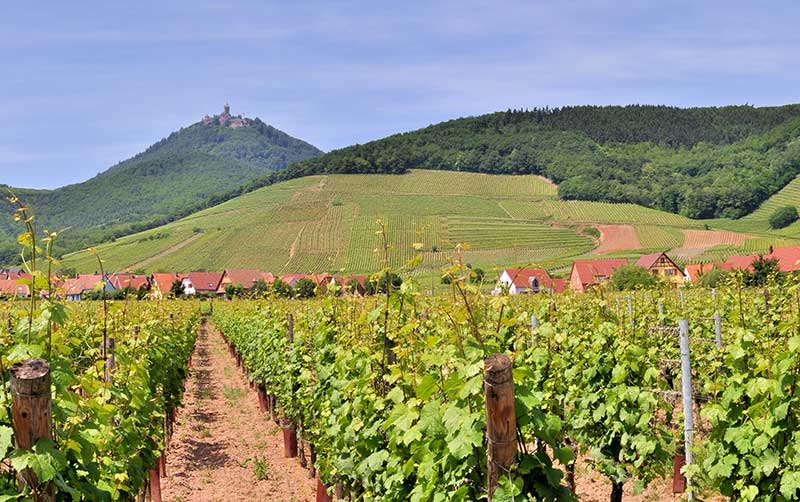 Engel Frères